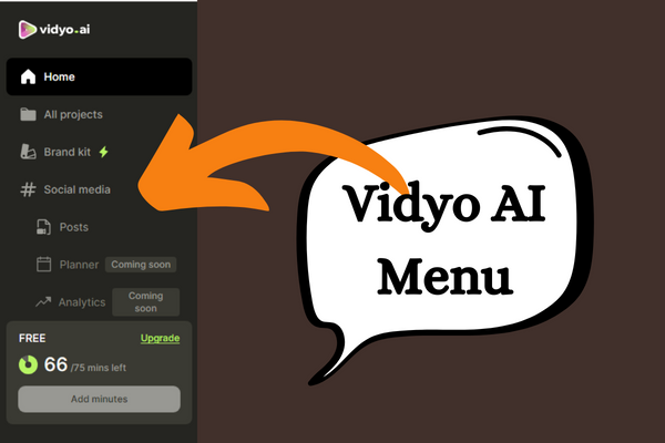 vidyo ai